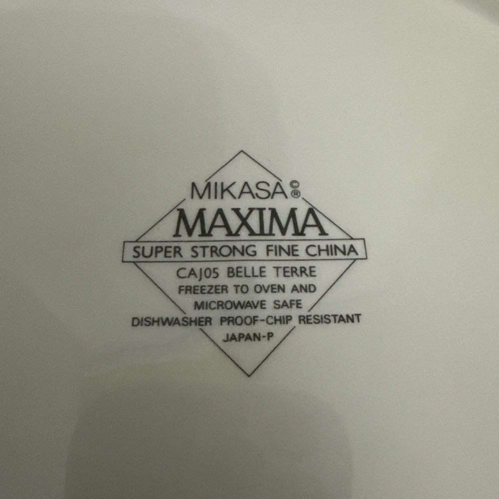 Mikasa Maxima Fine China Belle Terre 12